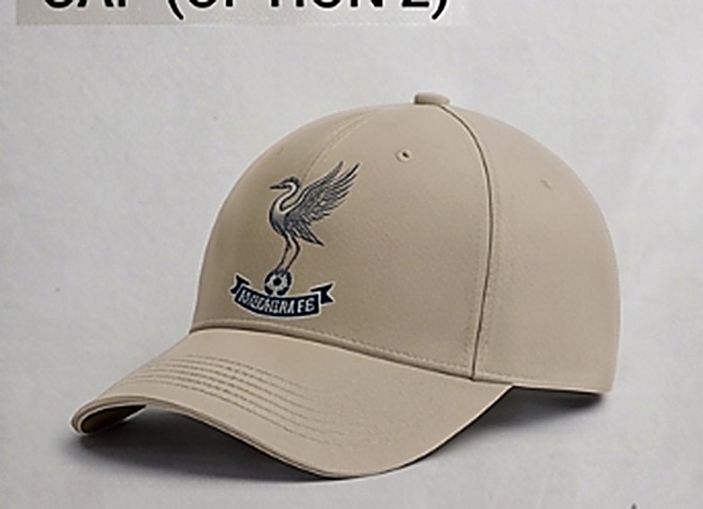 Heron Cap — Silver