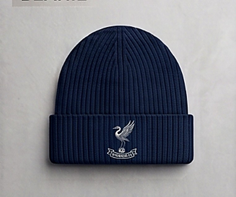 Cuffed Beanie